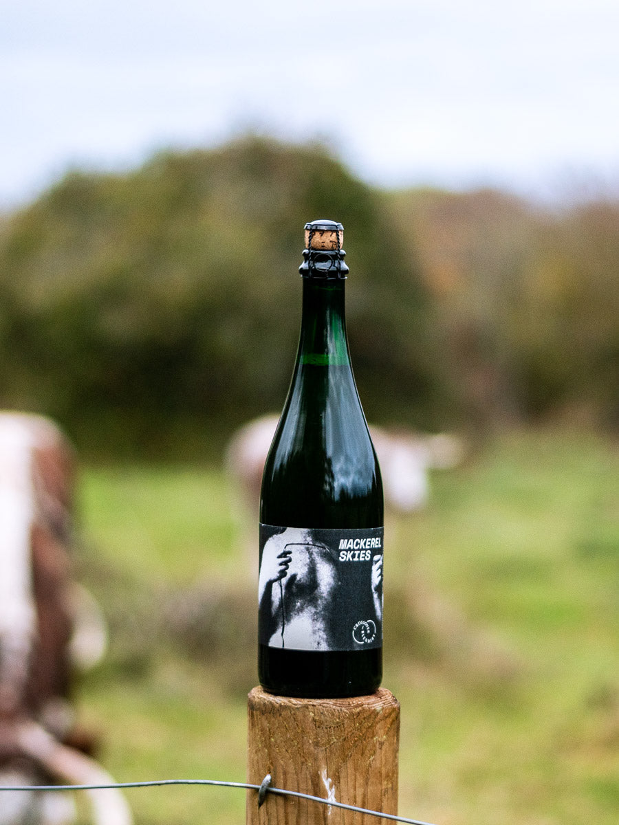 Honey Isle 2023 & Mackerel Skies 2024 Double Pack (75cl)