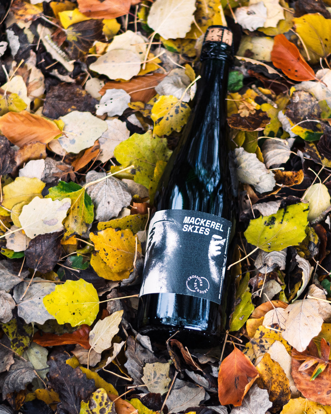Mackerel Skies 2024